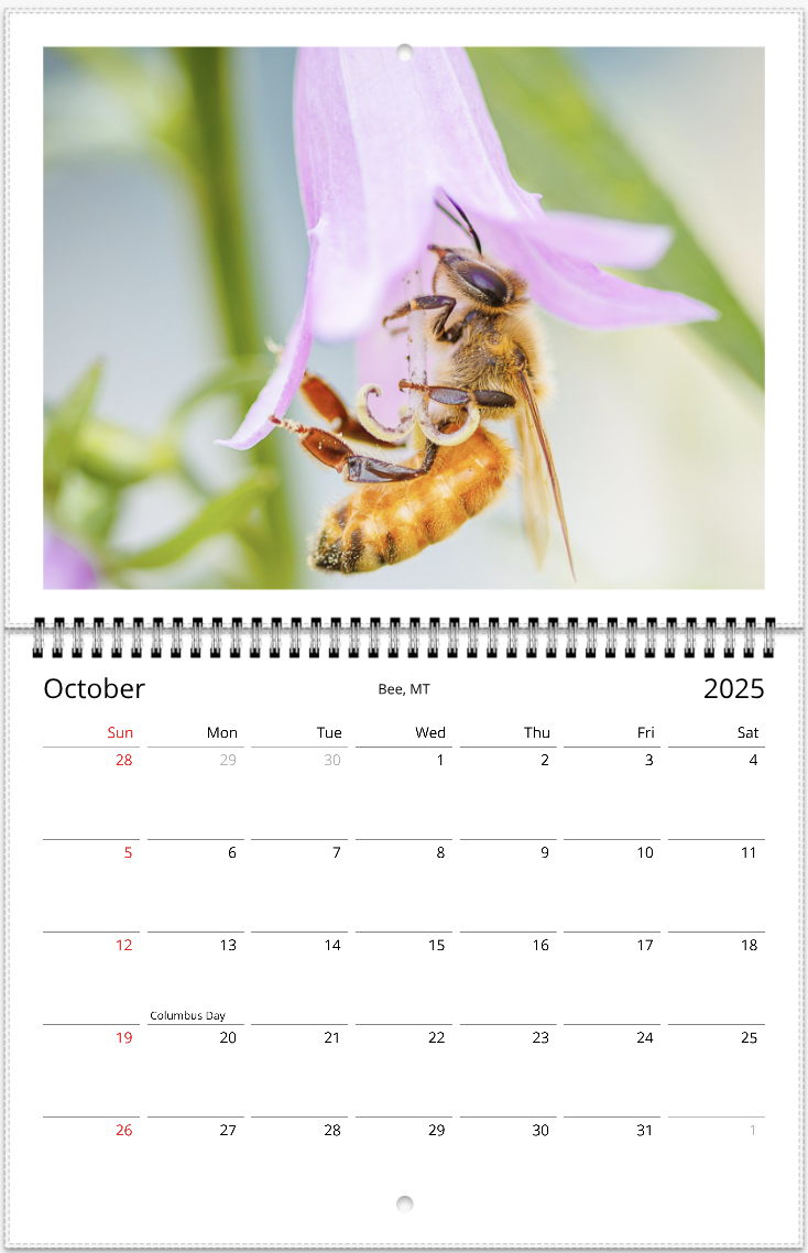 2025 An Aussie Perspective Serenity Wall Calendar USA + Canada