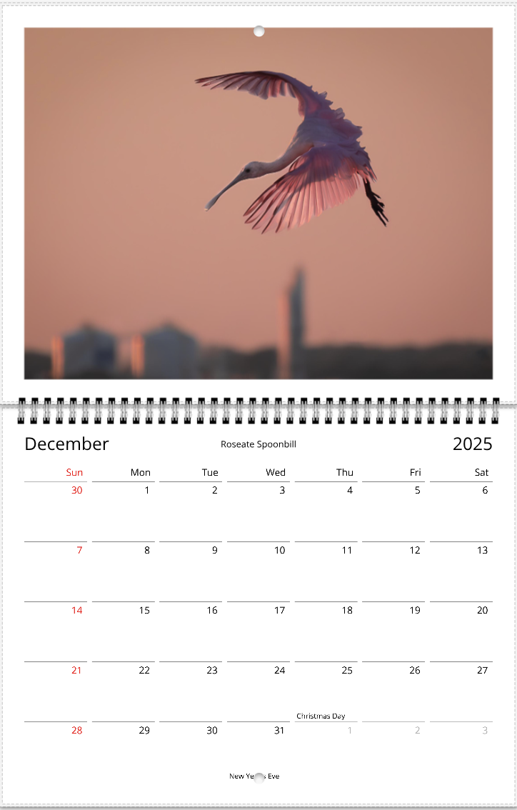2025 An Aussie Perspective Birds Are Real Wall Calendar USA + Canada