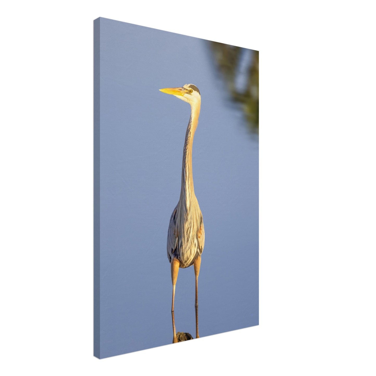 1dbb1b3e-4171-4e36-b351-05fe67adcd58