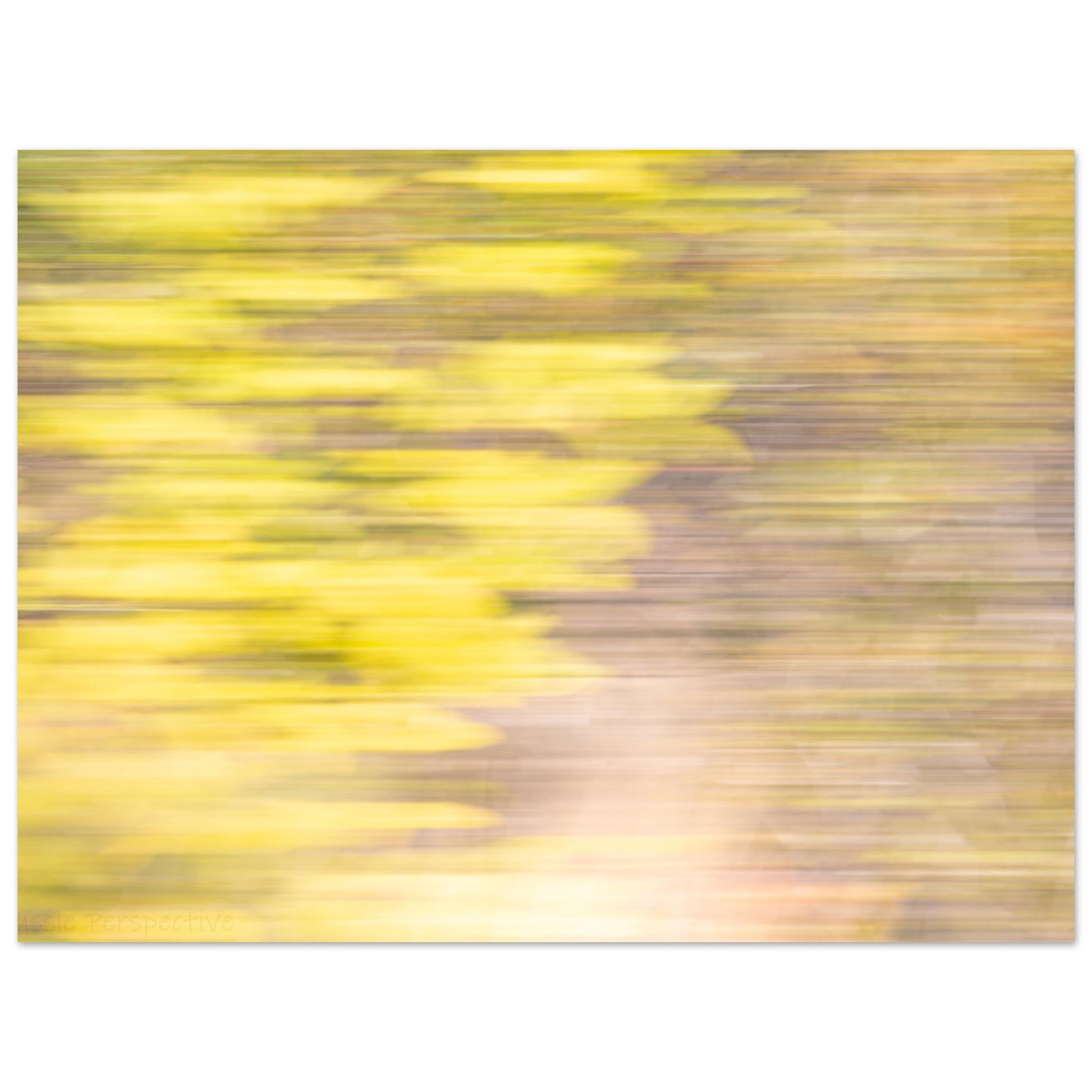 3367154e-b2ac-4165-80fa-467324f59b87