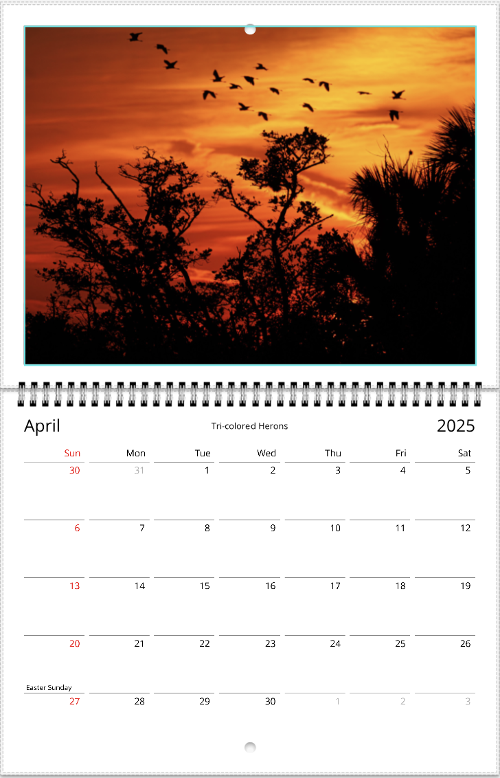 2025 An Aussie Perspective Birds Are Real Wall Calendar USA + Canada