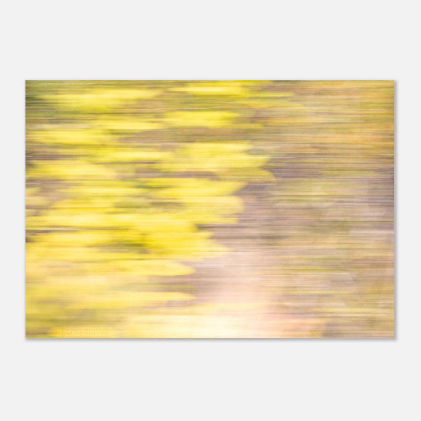 5a46ba05-b487-440d-942c-ceeadb927128