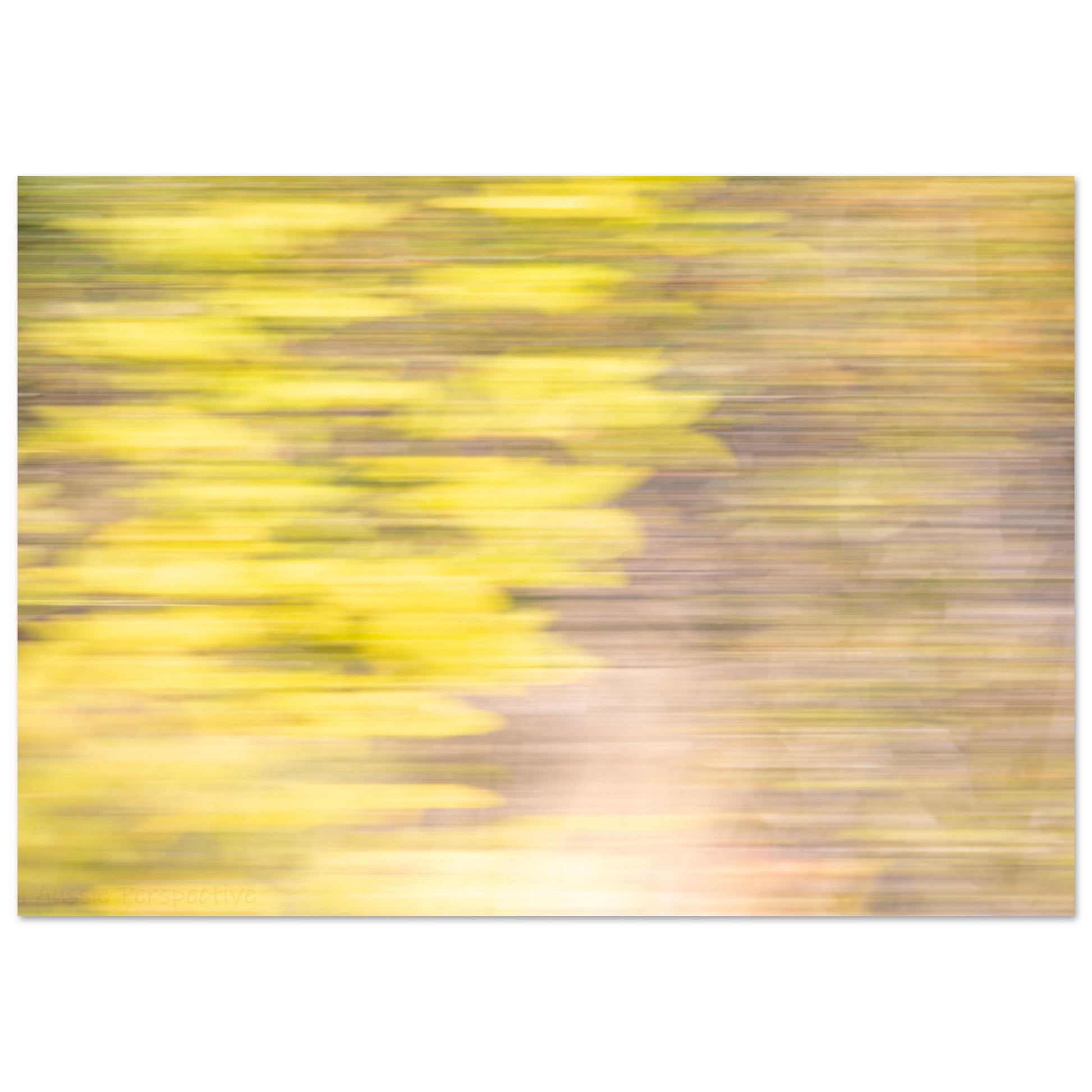 5f72d8de-459f-4c32-8ef3-3562375533f6