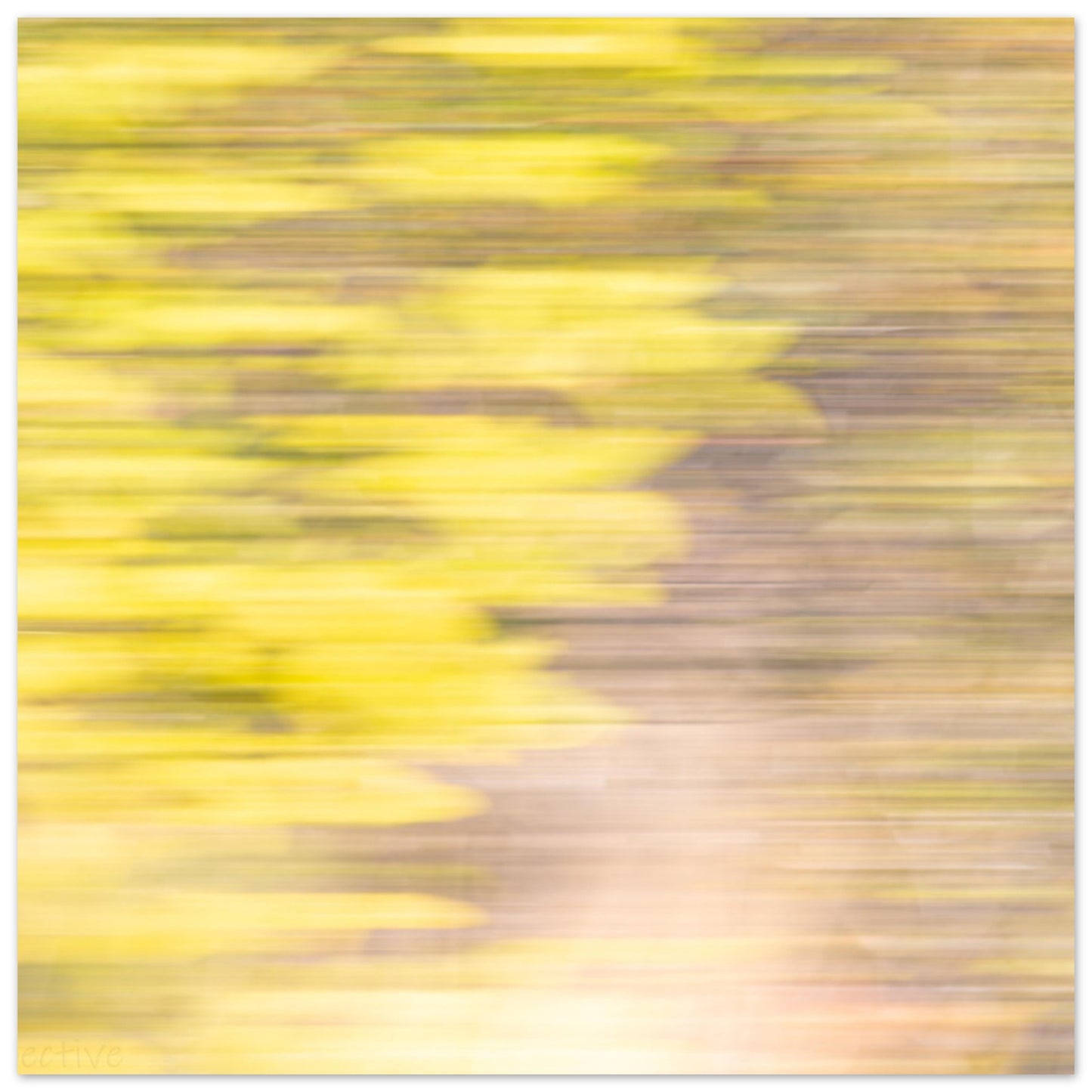 650583f9-5728-4018-be6d-b19e5420d68f