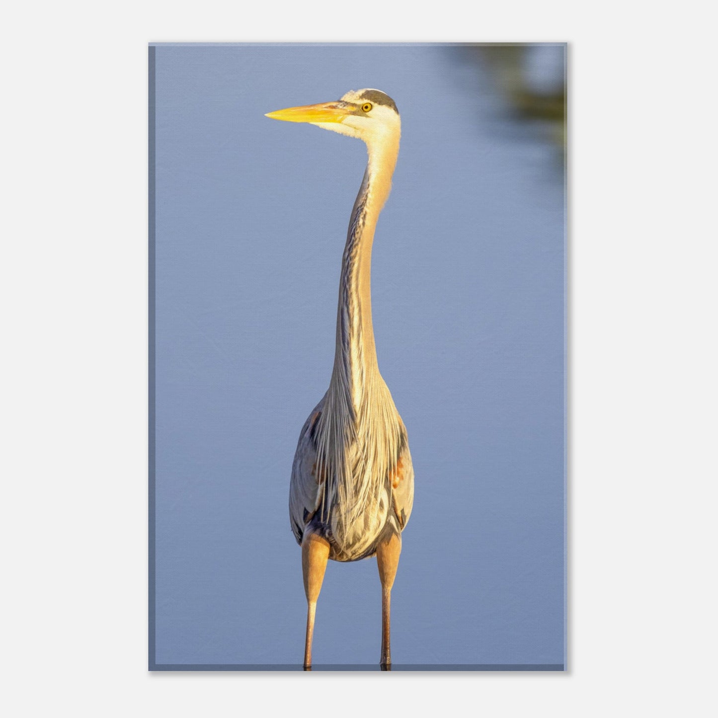 692ac042-15f2-41f1-b6b8-9f41d382da95