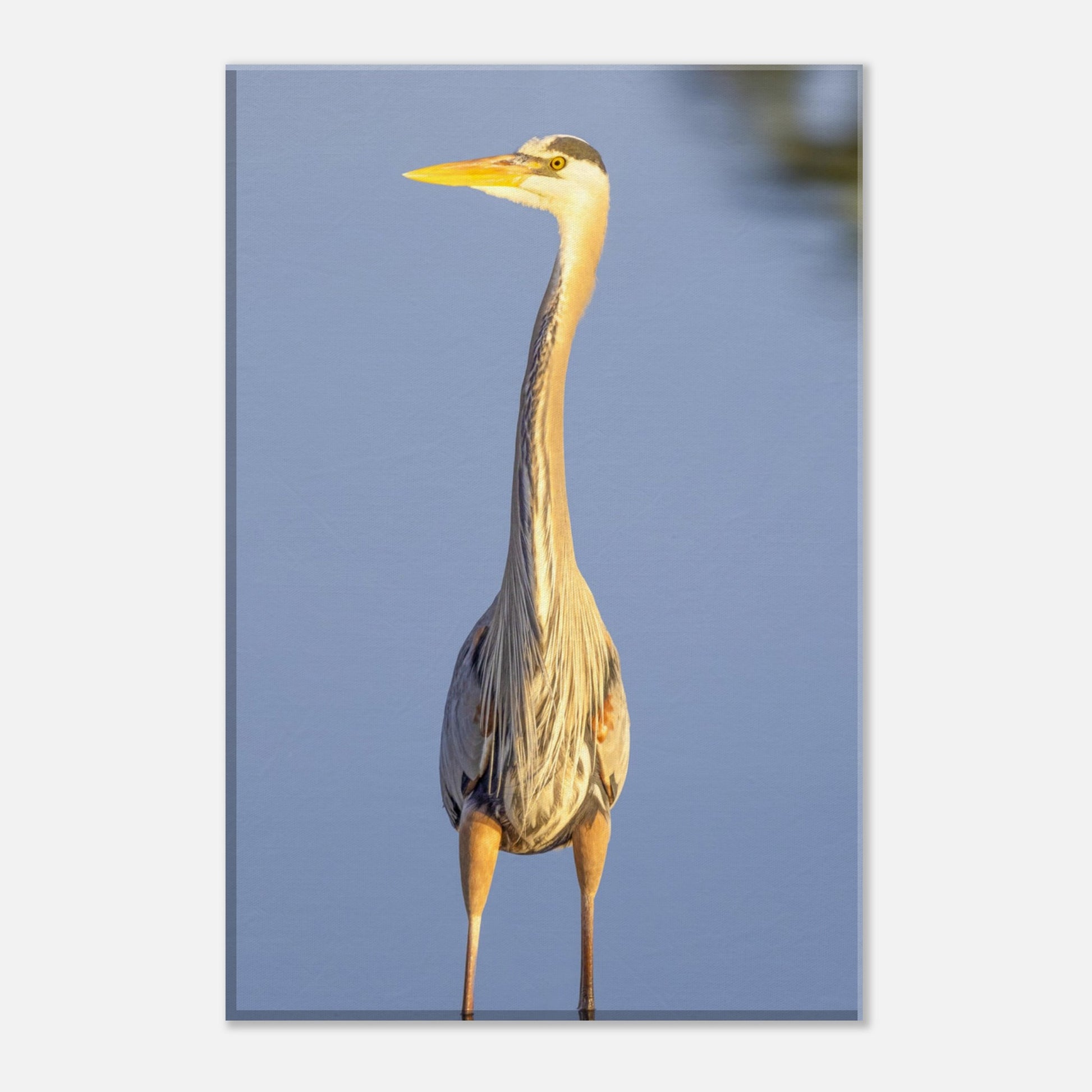 692ac042-15f2-41f1-b6b8-9f41d382da95