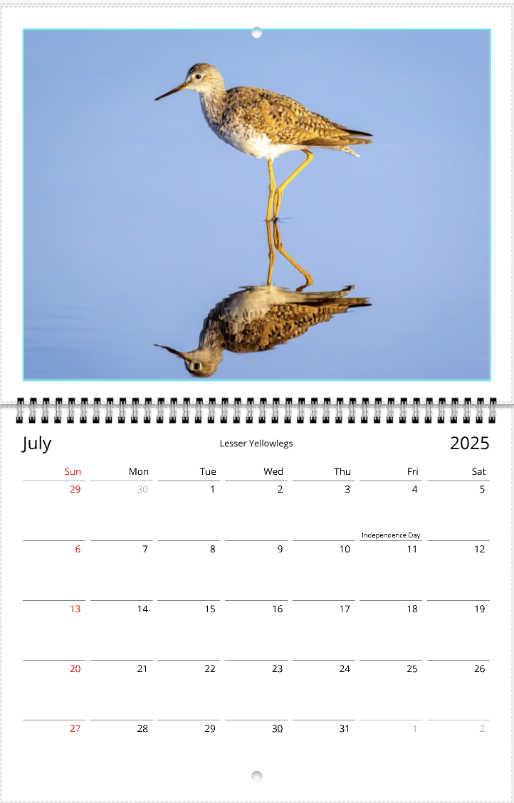 2025 An Aussie Perspective Birds Are Real Wall Calendar USA + Canada