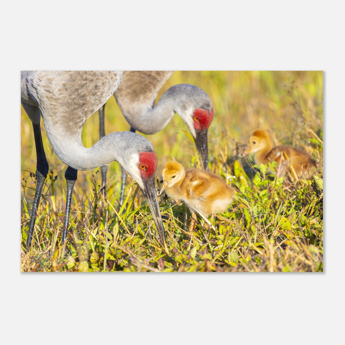 872d3890-0d78-4286-bf10-fcc8a1959720