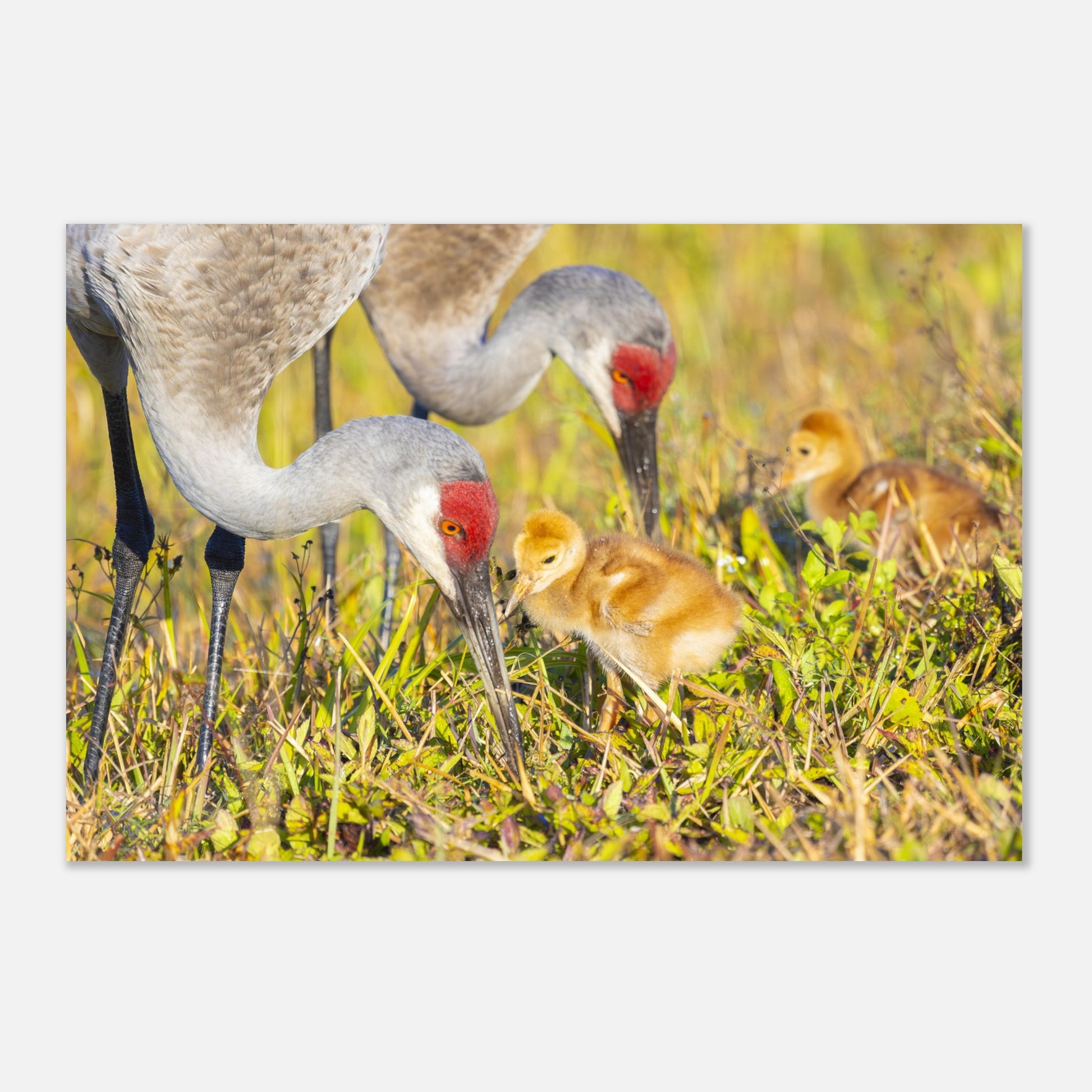 872d3890-0d78-4286-bf10-fcc8a1959720