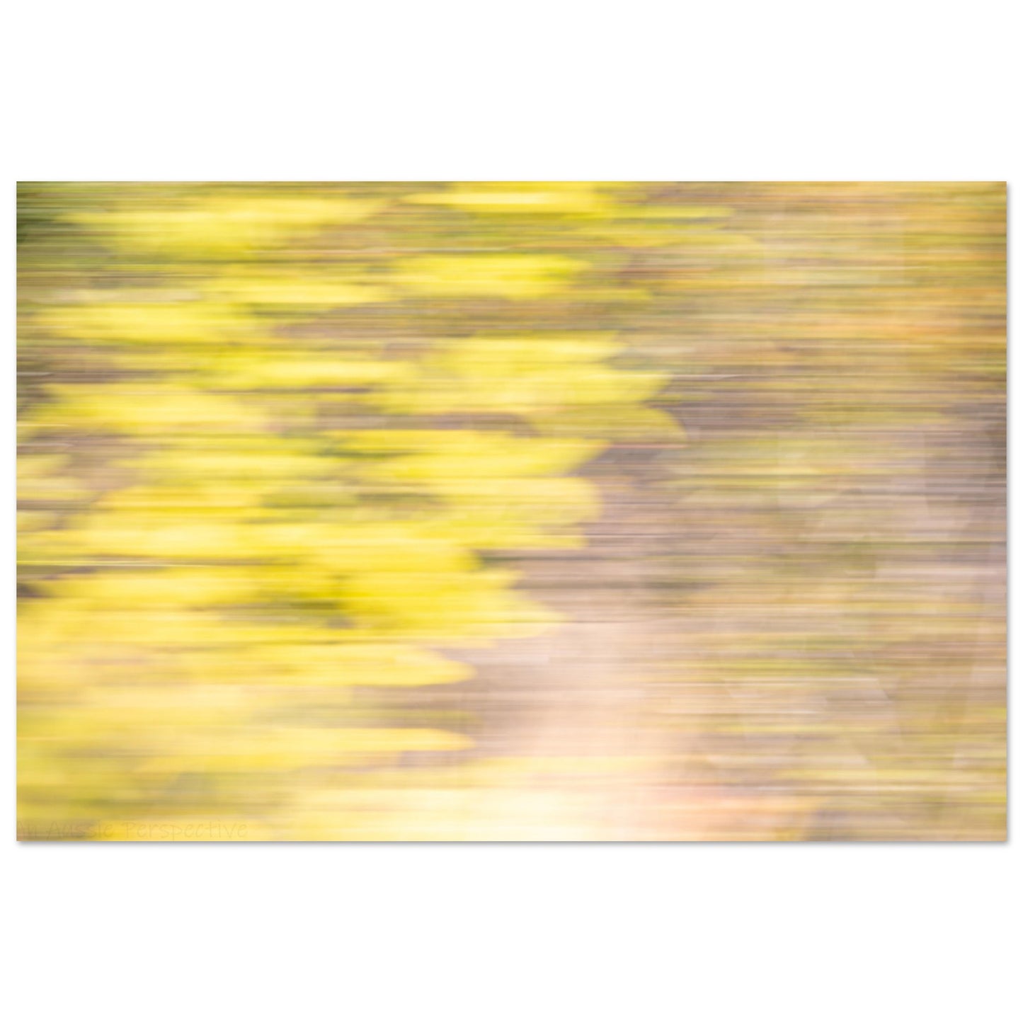 87733553-1dd2-4316-9302-c2e3f12b5db4