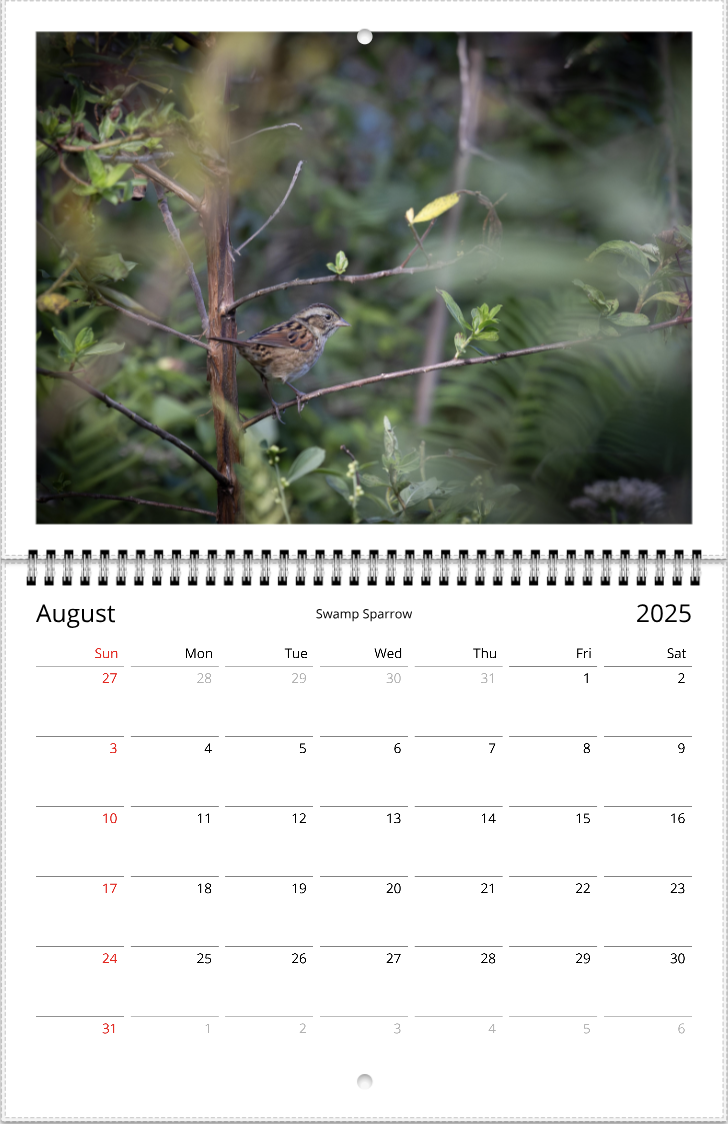 2025 An Aussie Perspective Birds Are Real Wall Calendar USA + Canada