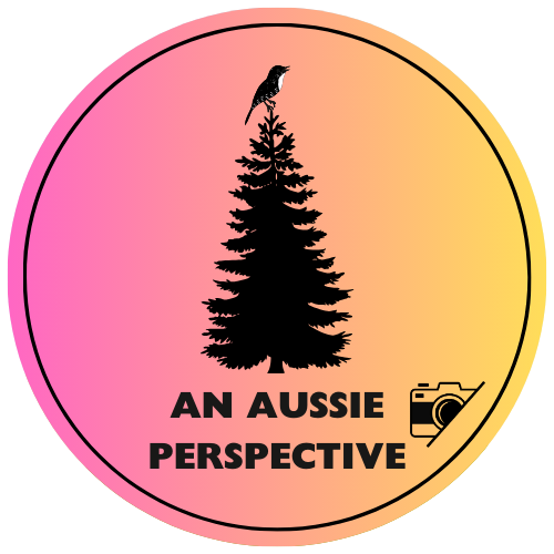 An Aussie Perspective logo