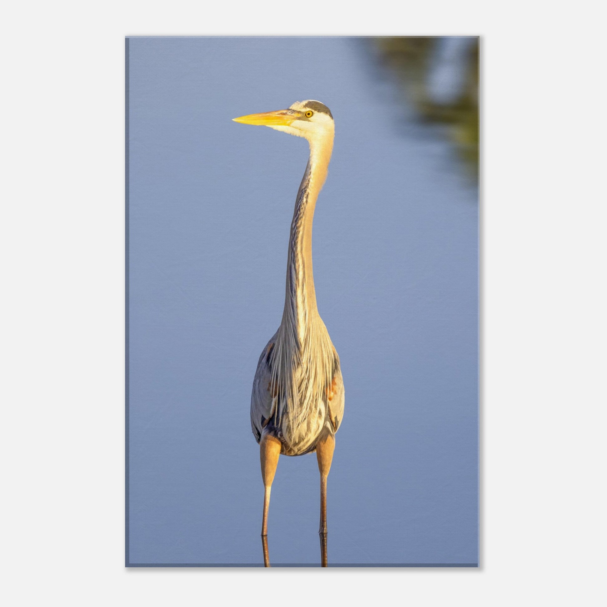 b7dbd998-4677-46f0-9e66-79aa88d0d585