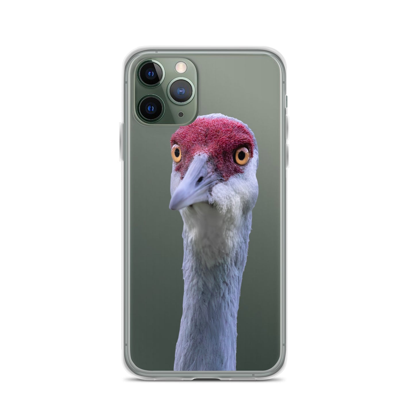 Sandhill Crane on Clear Case for iPhone®