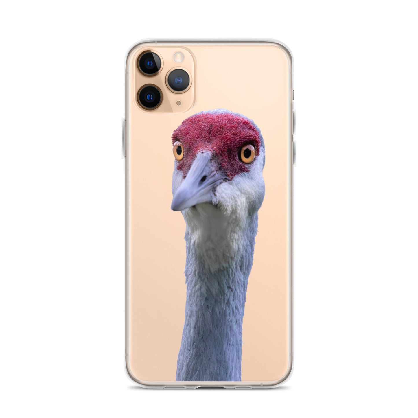 Sandhill Crane on Clear Case for iPhone®