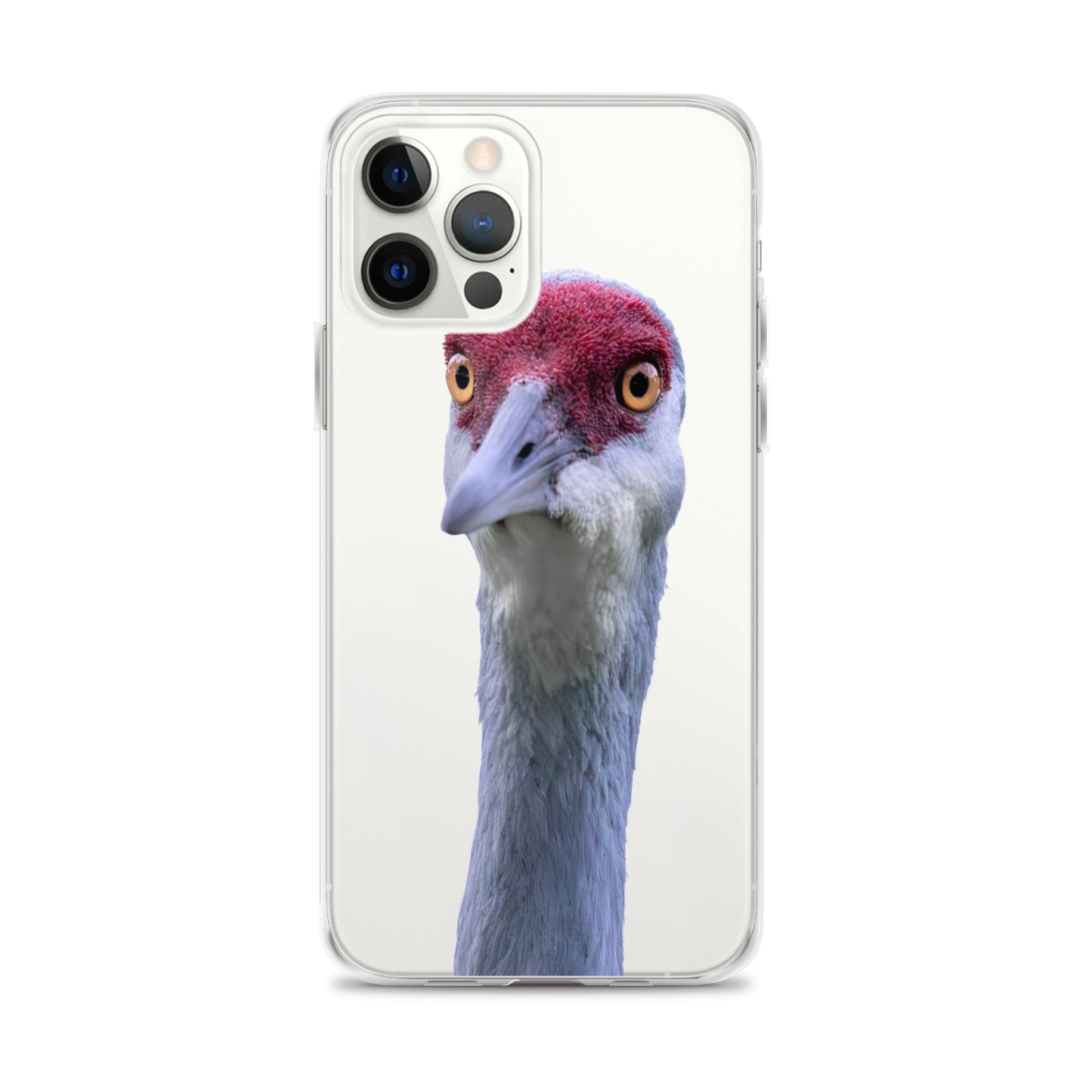Sandhill Crane on Clear Case for iPhone®