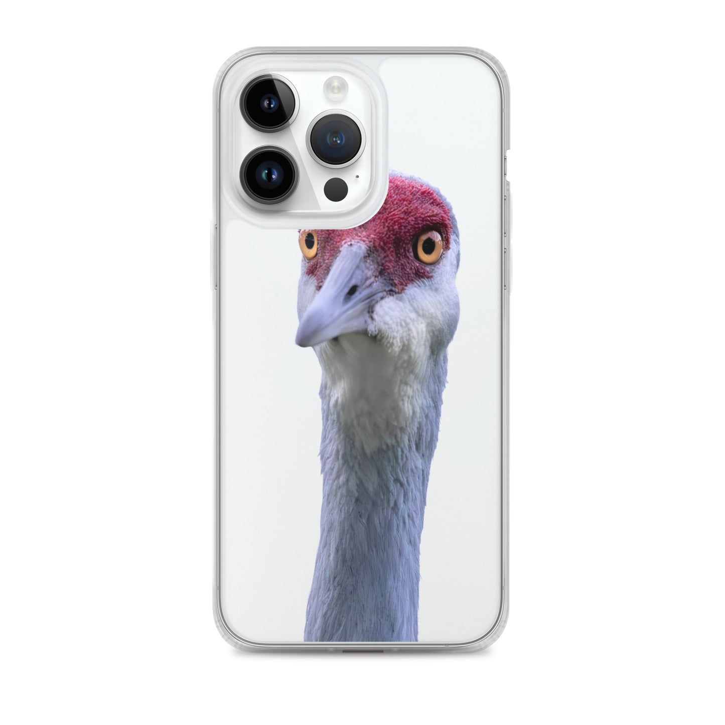 Sandhill Crane on Clear Case for iPhone®