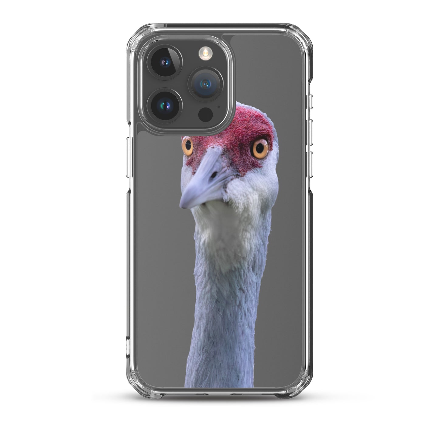 Sandhill Crane on Clear Case for iPhone®