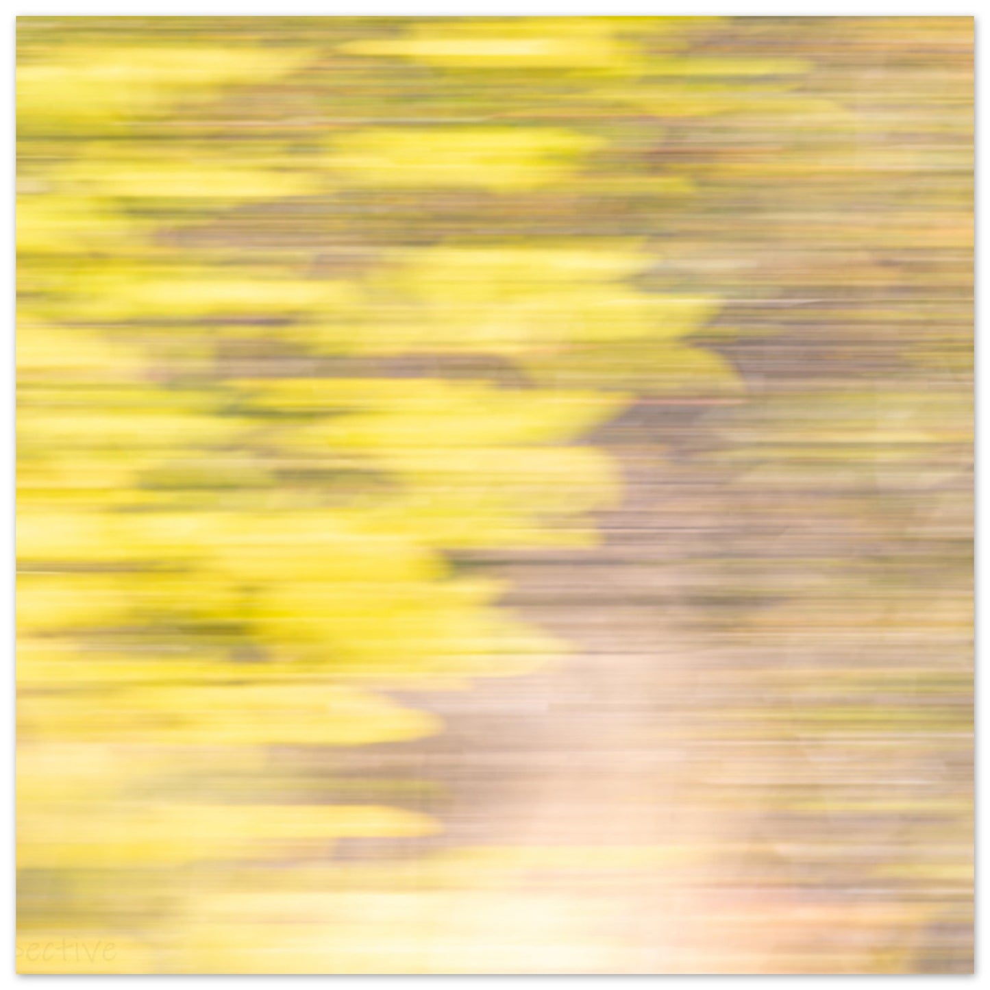 d2ceb5d3-814e-40e7-8ce1-c30bc5ac00bc