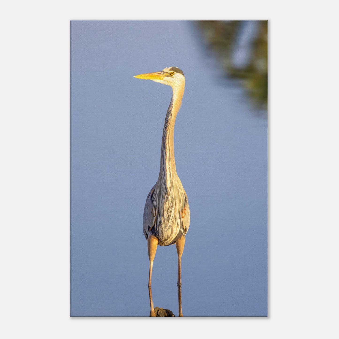 f9823058-204e-4b49-9254-85ac28291132