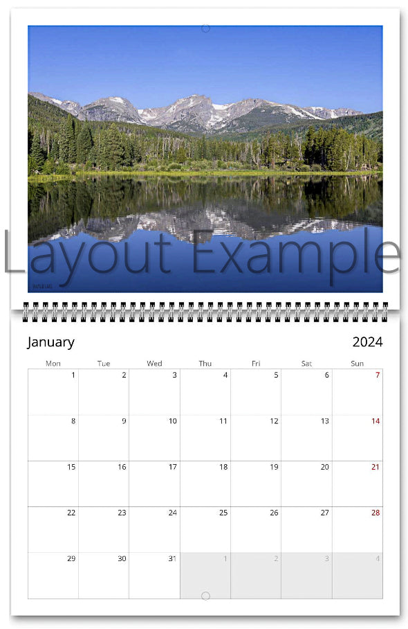 2024 Horizontal Wall Calendar by An Aussie Perspective - Animal Photos 2